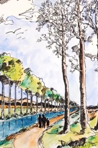 Bord du canal / Aquarelle et encre / 50 x 70 